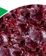 Red Glace