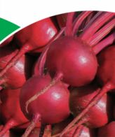 Red Atlas
