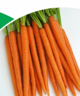 Primecut