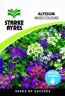 Alyssum Mixed Colours