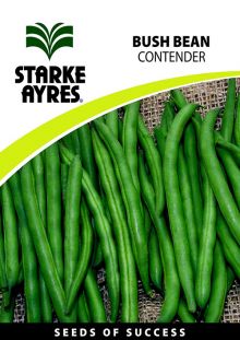 Bush Bean Contender
