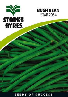 Bush Bean STAR 2054