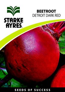 Beetroot Detroit Dark Red
