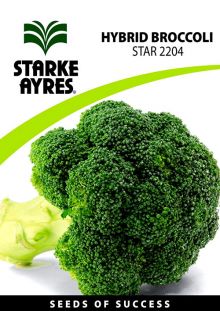 Broccoli STAR 2204