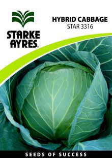 Cabbage STAR 3316