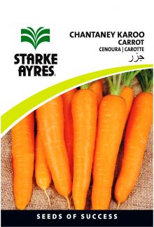 Carrot Chantaney Karoo
