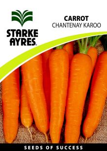 Carrot Chantaney Karoo