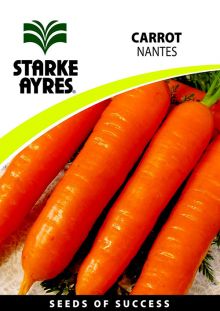 Carrot Nantes