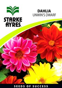 Dahlia Unwins Dwarf	