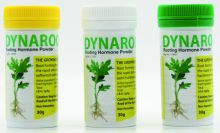 Dynaroot
