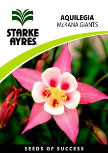 Aquilegia McKana Giants	