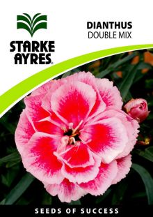 Dianthus Double Mix	