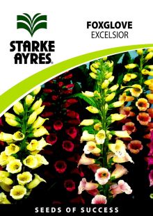 Foxglove Excelsior	
