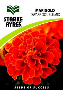 Marigold Dwarf Double Mix