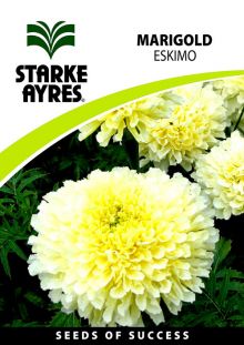 Marigold Eskimo