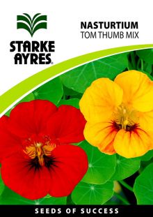 Nasturtium Tom Thumb