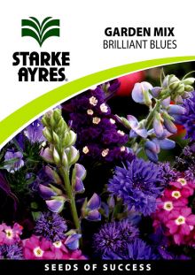 Starkie's Brilliant Blues