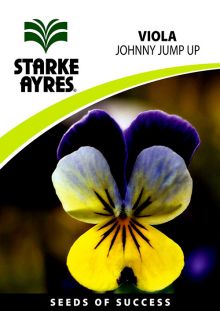 Viola Johnny Jump Up