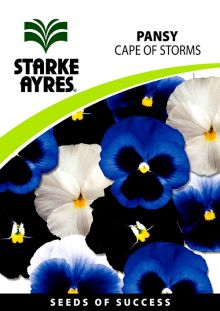 Pansy Cape of Storms