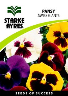 Pansy Swiss Giants Mixed