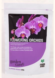 Flowering Orchids