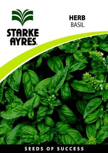 Basil