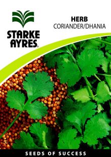 Coriander
