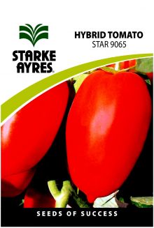 TOMATO STAR 9065