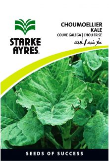 Kale Choumoellier