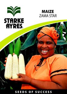 Maize Zama Star