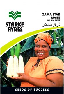 Maize Zama Star