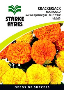 Marigold Crackerjack