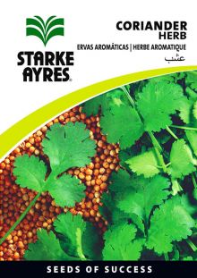 Coriander