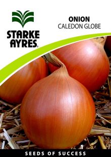 Onion Caledon Globe