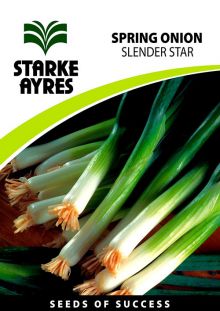 Spring Onion Slender star