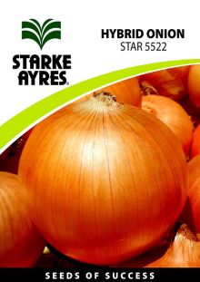 Onion STAR 5522