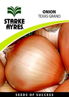 Onion Texas Grano