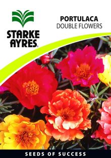 Portulaca Extra Double