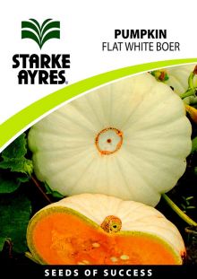 Pumpkin Flat White Boer van Niekerk