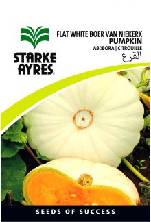 Pumpkin Flat White Boer van Niekerk