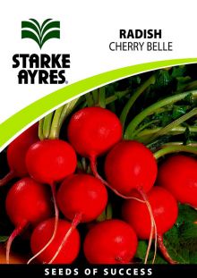 Radish Cherry Belle