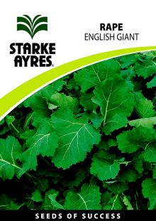 Rape English Giant