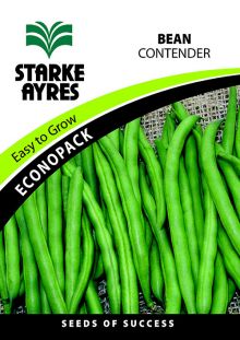 Vegetable Dwarf Beans Contender