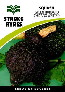 Squash Green Hubbard Chicago Warted