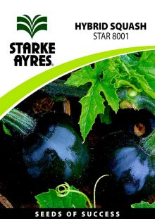 Squash STAR 8001