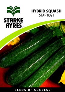 Squash STAR 8021