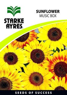 Sunflower Music Box
