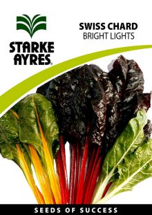 Swiss Chard Bright Lights