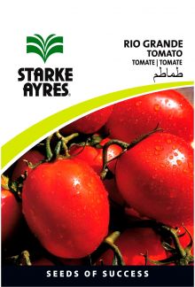 Tomato Rio Grande